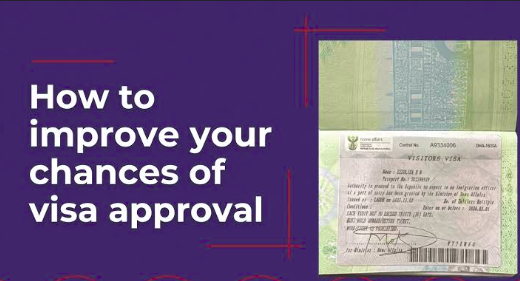How Professional Visa Services Can Increase Your Approval Chances