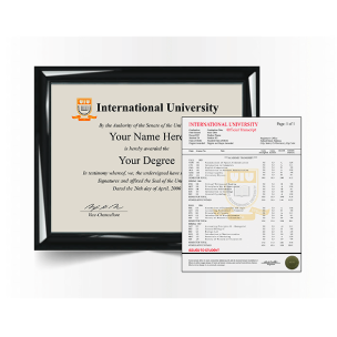 How to Get Your University Diploma Recognized Internationally