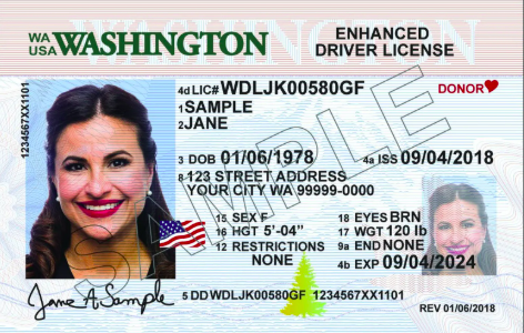 USA Driver's License Application Processing