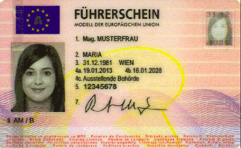 Germany Führerschein Exchange Processing