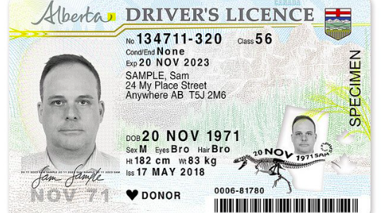 Canada Driver's Licence Application Support