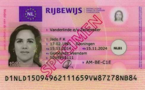 Netherlands Rijbewijs Application Processing