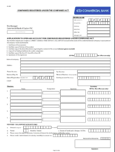 Company Bank Account Document Preparation