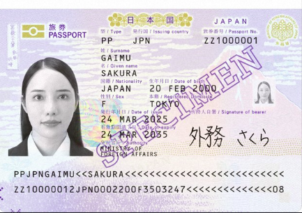 Japan Passport Application Support