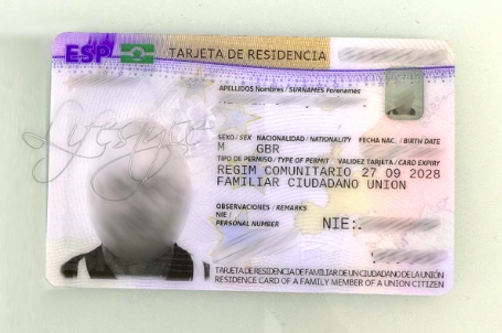 Spain Residencia Processing Service