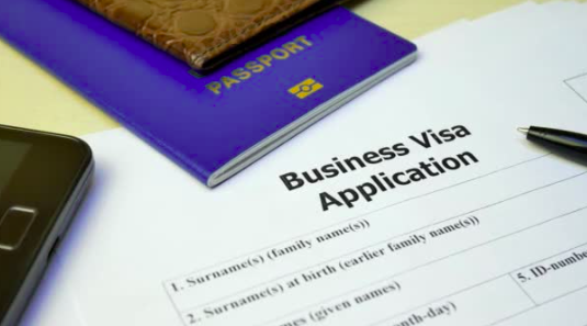 Business Visa Application Processing
