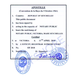 Hague Apostille Processing Service